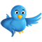 twitter bird