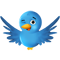 twitter bird