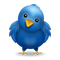 twitter bird